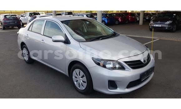 Sayi Na hannu Toyota Corolla Silver Mota in Maseru a Maseru Sayi Na hannu Toyota Corolla Silver Mota in Maseru a Maseru