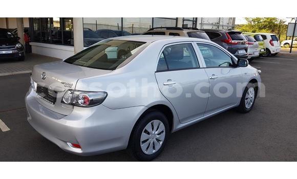 Sayi Na hannu Toyota Corolla Silver Mota in Maseru a Maseru Sayi Na hannu Toyota Corolla Silver Mota in Maseru a Maseru