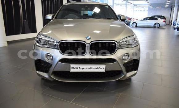 Buy Used BMW X6 M Silver Car in Hlotse in Leribe Buy Used BMW X6 M Silver Car in Hlotse in Leribe