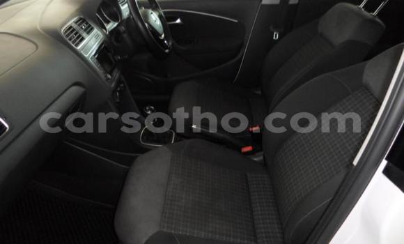 Buy Used Volkswagen Polo White Car in Mafeteng in Mafeteng Buy Used Volkswagen Polo White Car in Mafeteng in Mafeteng