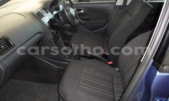 Buy Used Volkswagen Polo Blue Car in Maputsoa in Leribe Buy Used Volkswagen Polo Blue Car in Maputsoa in Leribe