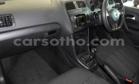 Buy Used Volkswagen Polo Blue Car in Maputsoa in Leribe Buy Used Volkswagen Polo Blue Car in Maputsoa in Leribe