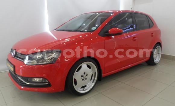 Buy Used Volkswagen Polo Red Car in Maputsoa in Leribe Buy Used Volkswagen Polo Red Car in Maputsoa in Leribe