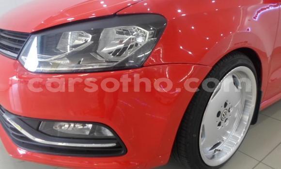 Buy Used Volkswagen Polo Red Car in Maputsoa in Leribe Buy Used Volkswagen Polo Red Car in Maputsoa in Leribe