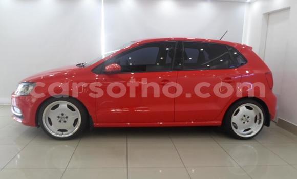 Buy Used Volkswagen Polo Red Car in Maputsoa in Leribe Buy Used Volkswagen Polo Red Car in Maputsoa in Leribe