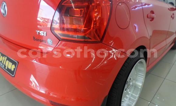 Buy Used Volkswagen Polo Red Car in Maputsoa in Leribe Buy Used Volkswagen Polo Red Car in Maputsoa in Leribe