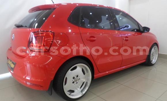 Buy Used Volkswagen Polo Red Car in Maputsoa in Leribe Buy Used Volkswagen Polo Red Car in Maputsoa in Leribe
