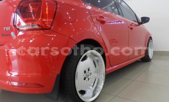 Buy Used Volkswagen Polo Red Car in Maputsoa in Leribe Buy Used Volkswagen Polo Red Car in Maputsoa in Leribe