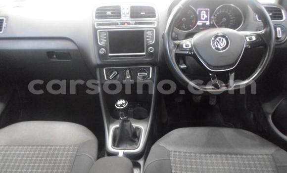 Buy Used Volkswagen Polo Red Car in Maputsoa in Leribe Buy Used Volkswagen Polo Red Car in Maputsoa in Leribe