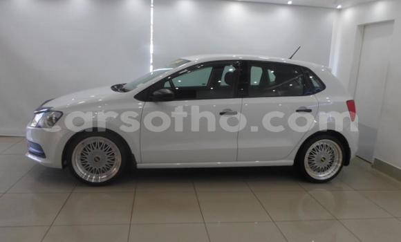 اشتري مستعمل Volkswagen Polo White سيارة في Maputsoe في Leribe اشتري مستعمل Volkswagen Polo White سيارة في Maputsoe في Leribe
