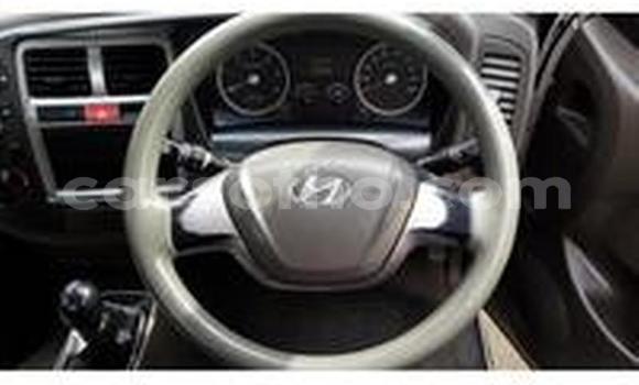 اشتري مستعمل Hyundai H1 White سيارة في Maputsoa في Leribe اشتري مستعمل Hyundai H1 White سيارة في Maputsoa في Leribe