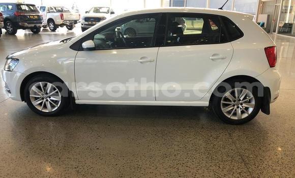 Acheter Occasion Voiture Volkswagen Polo Blanc à Maseru, Maseru Acheter Occasion Voiture Volkswagen Polo Blanc à Maseru, Maseru