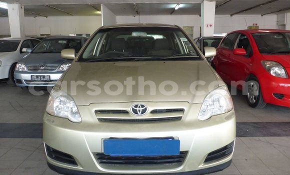 Sayi Na hannu Toyota Runx Other Mota in Maseru a Maseru Sayi Na hannu Toyota Runx Other Mota in Maseru a Maseru