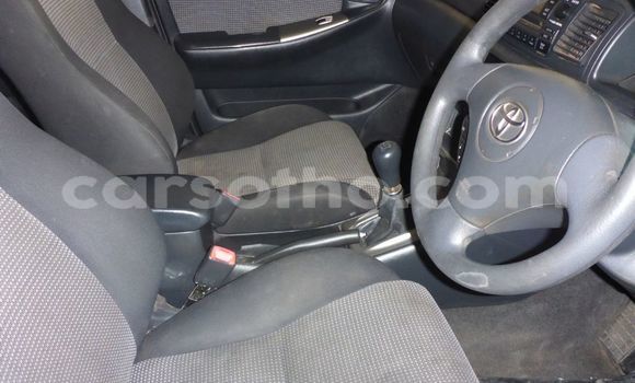 Sayi Na hannu Toyota Runx Other Mota in Maseru a Maseru Sayi Na hannu Toyota Runx Other Mota in Maseru a Maseru