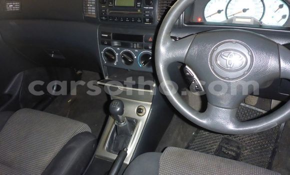 Sayi Na hannu Toyota Runx Other Mota in Maseru a Maseru Sayi Na hannu Toyota Runx Other Mota in Maseru a Maseru