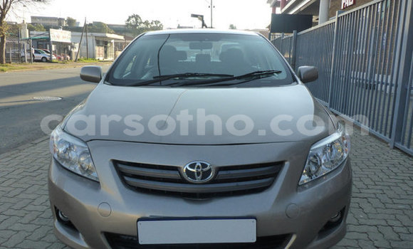 Sayi Na hannu Toyota Corolla Silver Mota in Maputsoe a Leribe Sayi Na hannu Toyota Corolla Silver Mota in Maputsoe a Leribe