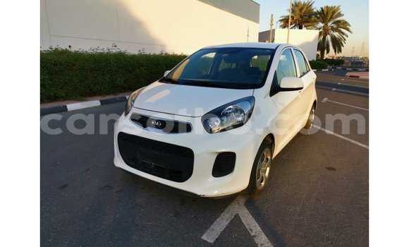 Sayi Imported Kia Picanto White Mota in Import - Dubai a Maseru Sayi Imported Kia Picanto White Mota in Import - Dubai a Maseru