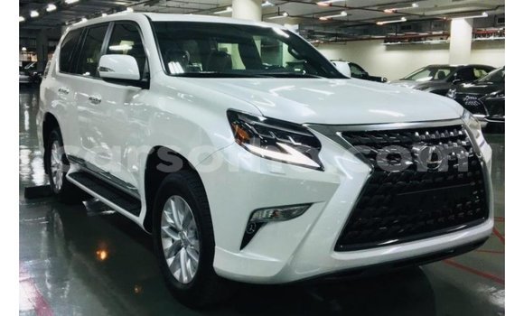 Sayi Imported Lexus GX White Mota in Import - Dubai a Maseru Sayi Imported Lexus GX White Mota in Import - Dubai a Maseru