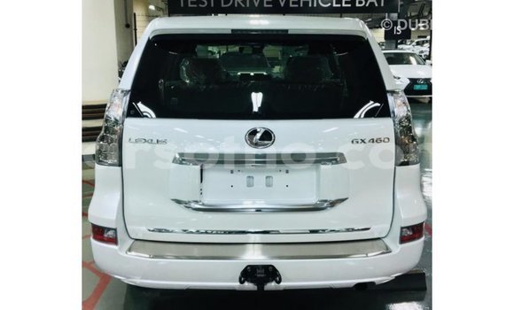 Sayi Imported Lexus GX White Mota in Import - Dubai a Maseru Sayi Imported Lexus GX White Mota in Import - Dubai a Maseru