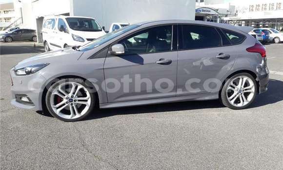 اشتري مستعمل Ford Focus ST Other سيارة في Maseru في Maseru اشتري مستعمل Ford Focus ST Other سيارة في Maseru في Maseru