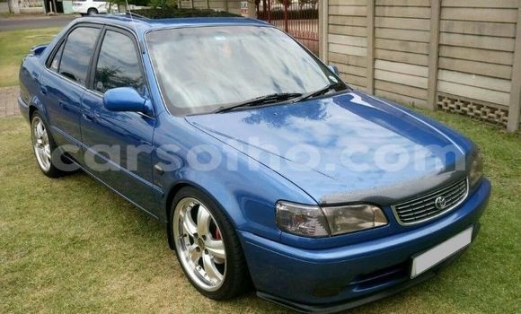 اشتري مستعمل Toyota Corolla Blue سيارة في Maseru في Maseru اشتري مستعمل Toyota Corolla Blue سيارة في Maseru في Maseru