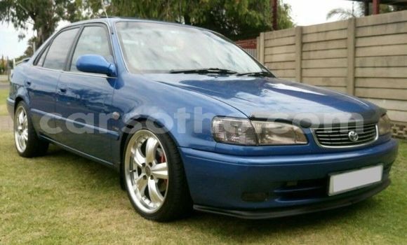 اشتري مستعمل Toyota Corolla Blue سيارة في Maseru في Maseru اشتري مستعمل Toyota Corolla Blue سيارة في Maseru في Maseru