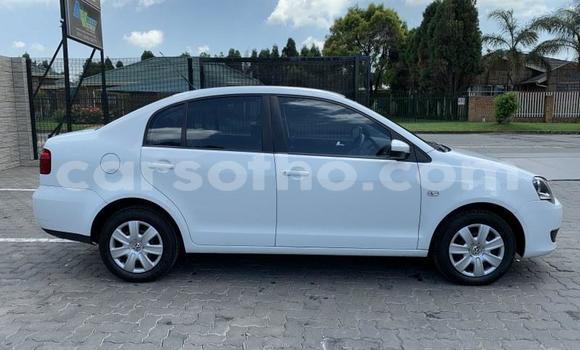 اشتري مستعمل Volkswagen Polo White سيارة في Maseru في Maseru اشتري مستعمل Volkswagen Polo White سيارة في Maseru في Maseru