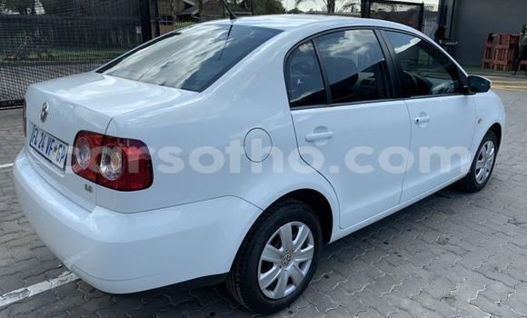 اشتري مستعمل Volkswagen Polo White سيارة في Maseru في Maseru اشتري مستعمل Volkswagen Polo White سيارة في Maseru في Maseru
