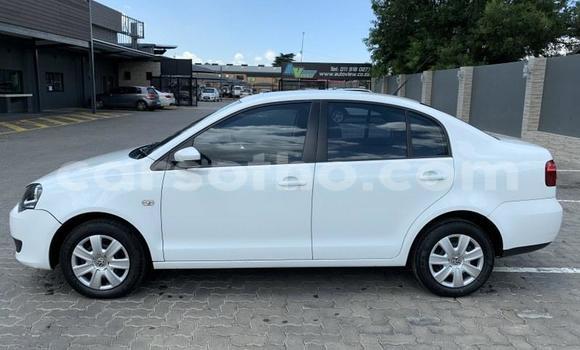 اشتري مستعمل Volkswagen Polo White سيارة في Maseru في Maseru اشتري مستعمل Volkswagen Polo White سيارة في Maseru في Maseru