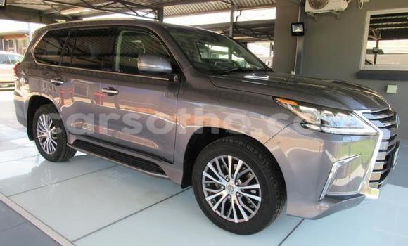 اشتري مستعمل Lexus LX 450 Silver سيارة في Butha Buthe في Butha-Buthe اشتري مستعمل Lexus LX 450 Silver سيارة في Butha Buthe في Butha-Buthe
