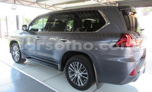 اشتري مستعمل Lexus LX 450 Silver سيارة في Butha Buthe في Butha-Buthe اشتري مستعمل Lexus LX 450 Silver سيارة في Butha Buthe في Butha-Buthe
