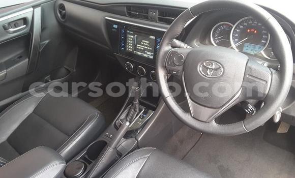 اشتري مستعمل Toyota Corolla Silver سيارة في Maseru في Maseru اشتري مستعمل Toyota Corolla Silver سيارة في Maseru في Maseru