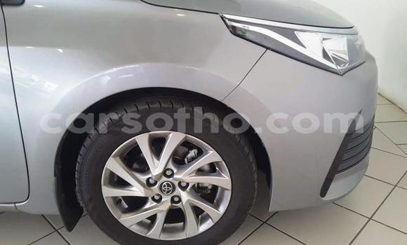 اشتري مستعمل Toyota Corolla Silver سيارة في Maseru في Maseru اشتري مستعمل Toyota Corolla Silver سيارة في Maseru في Maseru