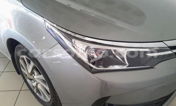 اشتري مستعمل Toyota Corolla Silver سيارة في Maseru في Maseru اشتري مستعمل Toyota Corolla Silver سيارة في Maseru في Maseru