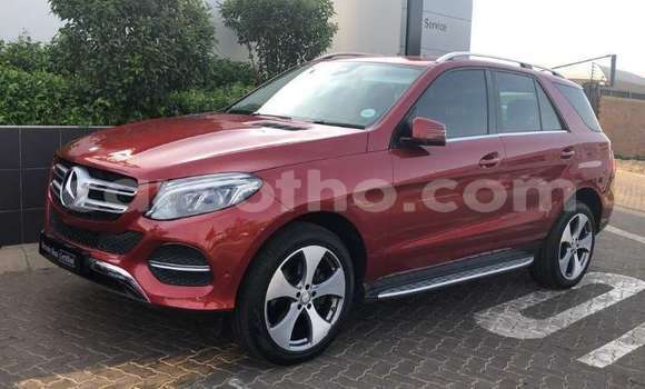 Buy Used Mercedes-Benz AMG GLC Red Car in Hlotse in Leribe Buy Used Mercedes-Benz AMG GLC Red Car in Hlotse in Leribe