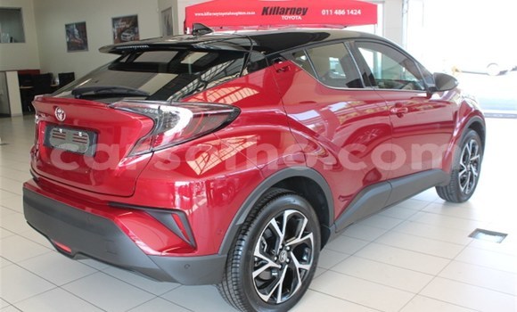 اشتري مستعمل Toyota C-HR Red سيارة في Import - Dubai في Maseru اشتري مستعمل Toyota C-HR Red سيارة في Import - Dubai في Maseru