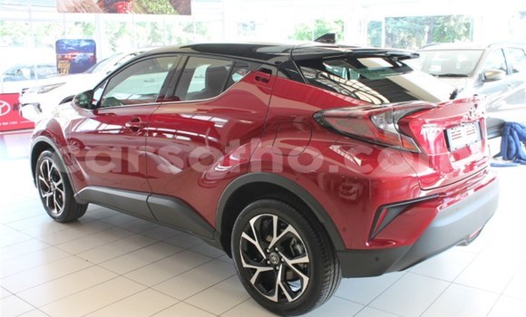 اشتري مستعمل Toyota C-HR Red سيارة في Import - Dubai في Maseru اشتري مستعمل Toyota C-HR Red سيارة في Import - Dubai في Maseru