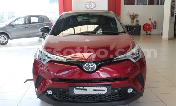 اشتري مستعمل Toyota C-HR Red سيارة في Import - Dubai في Maseru اشتري مستعمل Toyota C-HR Red سيارة في Import - Dubai في Maseru