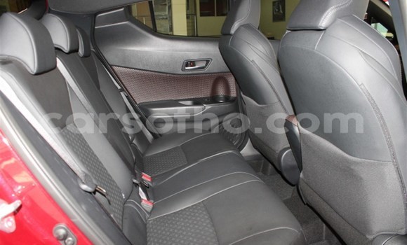 اشتري مستعمل Toyota C-HR Red سيارة في Import - Dubai في Maseru اشتري مستعمل Toyota C-HR Red سيارة في Import - Dubai في Maseru