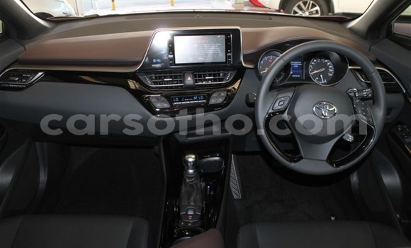 اشتري مستعمل Toyota C-HR Red سيارة في Import - Dubai في Maseru اشتري مستعمل Toyota C-HR Red سيارة في Import - Dubai في Maseru