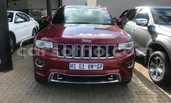 اشتري مستعمل Jeep Grand Cherokee Red سيارة في Maseru في Maseru اشتري مستعمل Jeep Grand Cherokee Red سيارة في Maseru في Maseru