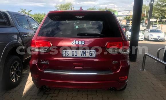 اشتري مستعمل Jeep Grand Cherokee Red سيارة في Maseru في Maseru اشتري مستعمل Jeep Grand Cherokee Red سيارة في Maseru في Maseru