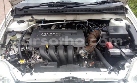 Acheter Occasion Voiture Toyota Corolla Blanc à Maseru, Maseru Acheter Occasion Voiture Toyota Corolla Blanc à Maseru, Maseru