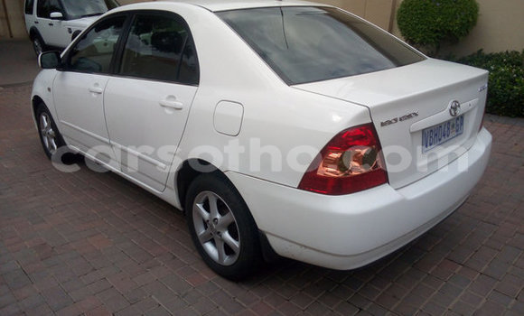 Acheter Occasion Voiture Toyota Corolla Blanc à Maseru, Maseru Acheter Occasion Voiture Toyota Corolla Blanc à Maseru, Maseru