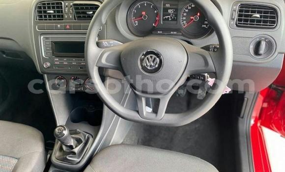 اشتري مستعمل Volkswagen Polo Red سيارة في Mafeteng في Mafeteng اشتري مستعمل Volkswagen Polo Red سيارة في Mafeteng في Mafeteng