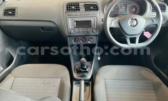اشتري مستعمل Volkswagen Polo Red سيارة في Mafeteng في Mafeteng اشتري مستعمل Volkswagen Polo Red سيارة في Mafeteng في Mafeteng