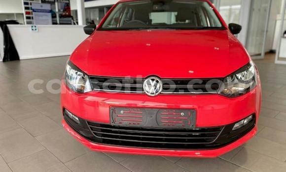 اشتري مستعمل Volkswagen Polo Red سيارة في Mafeteng في Mafeteng اشتري مستعمل Volkswagen Polo Red سيارة في Mafeteng في Mafeteng