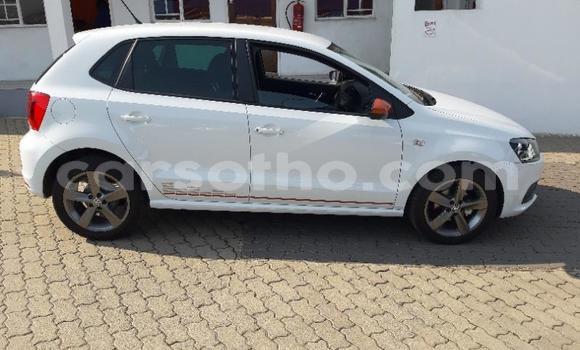 اشتري مستعمل Volkswagen Polo White سيارة في Maputsoe في Leribe اشتري مستعمل Volkswagen Polo White سيارة في Maputsoe في Leribe