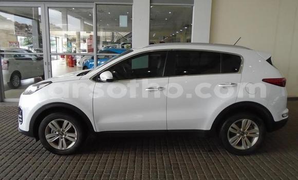 Buy Used Kia Sportage White Car in Maputsoa in Leribe Buy Used Kia Sportage White Car in Maputsoa in Leribe