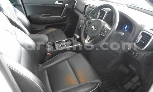Buy Used Kia Sportage White Car in Maputsoa in Leribe Buy Used Kia Sportage White Car in Maputsoa in Leribe